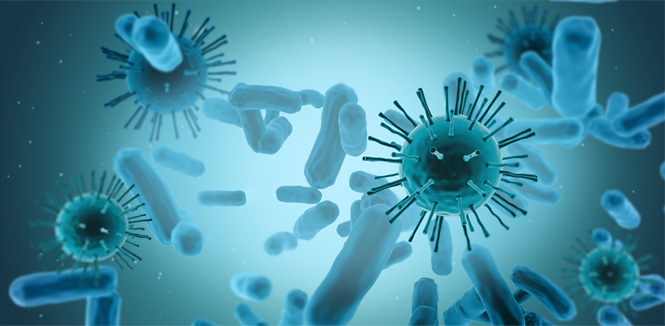 工業化臨床級的載體生產平臺 