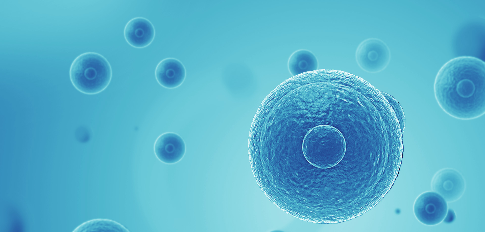 以患者需求為核心，驅動細胞免疫治療創新，實現癌癥可控化并最終治愈。